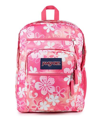 JanSport Big Student Backpack in Hiblisscus